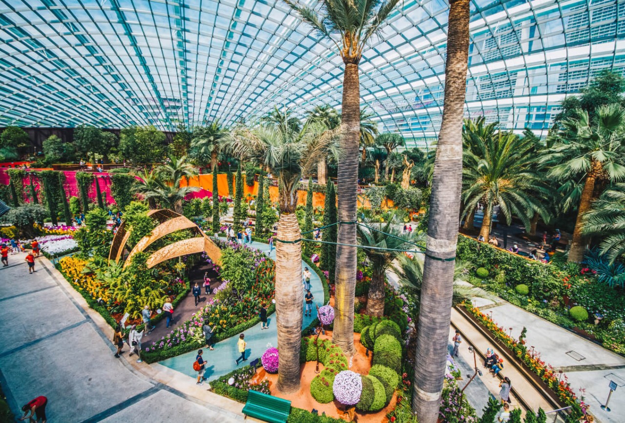 Natural marvels at Gardens by the Bay's glass greenhouse