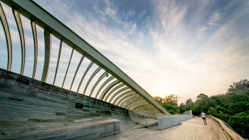 Cầu Henderson Waves là một phần của South Ridges Walk với bầu trời trong vắt