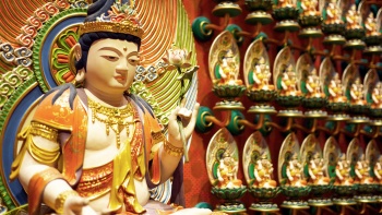 Các bức tượng Phật ở Bảo tàng & Chùa Răng Phật