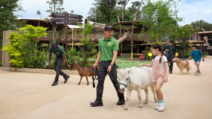 Bé gái tương tác với một con thỏ tại Buddy Barn, trong trải nghiệm Kidzworld tại Sở thú Singapore