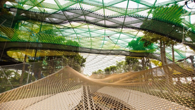 Canopy Park Skynet (Skynet tại Công viên Canopy) 