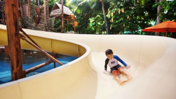 Một cậu bé trượt máng tại Công Viên Nước Adventure Cove. 