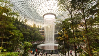 Day view of the Shiseido Forest Valley and HSBC Rain Vortex at Jewel Changi Airport